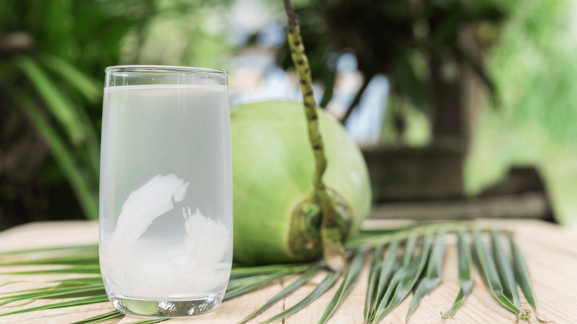 nuoc-dua-co-tac-dung-giai-khat-vi-chua-nhieu-dien-giai-tu-nhien