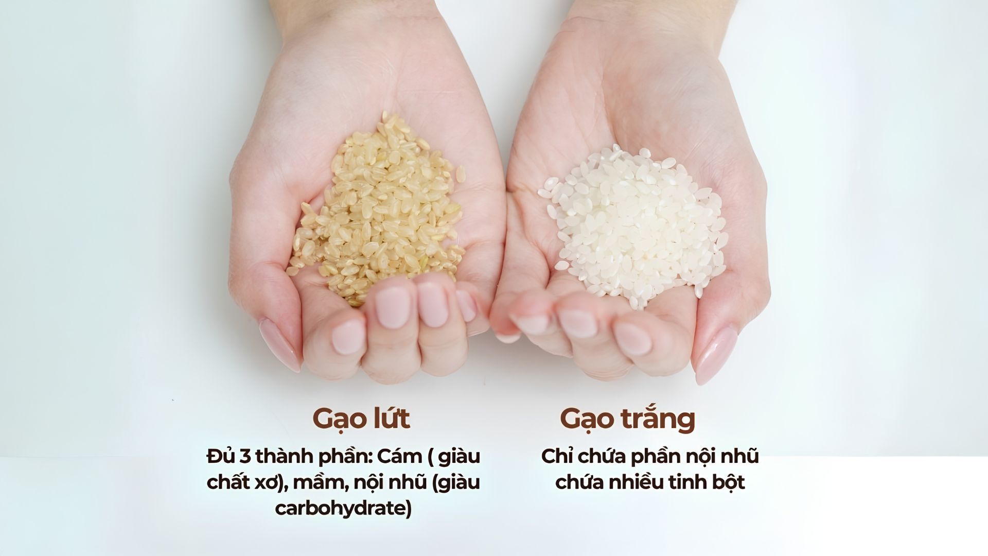tieu-duong-gao-lut-va-gao-trang