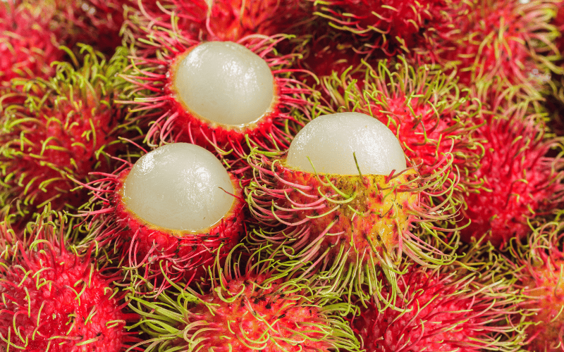 chom-chom-cung-khong-ngoai-le-neu-khong-kiem-soat-luong-an-se-rat-de-an-nhieu
