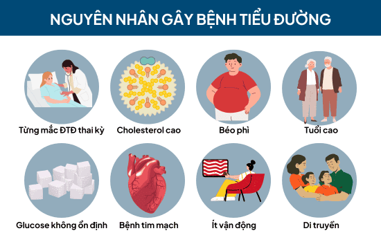 Nguyên nhân gây bệnh tiểu đường.png