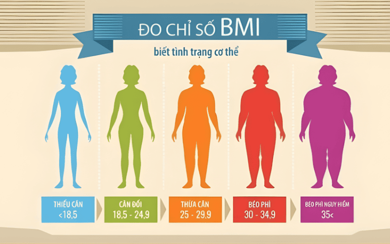 chỉ số BMI.png