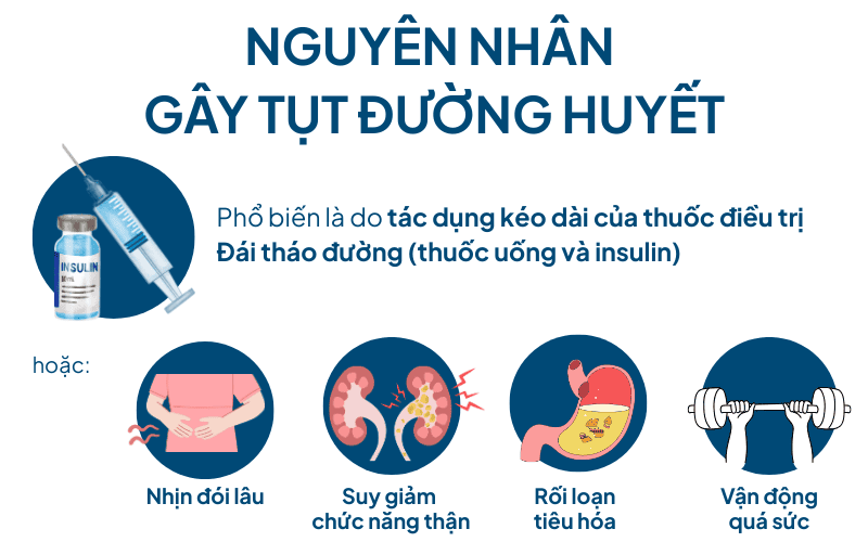 nguyên nhân.png